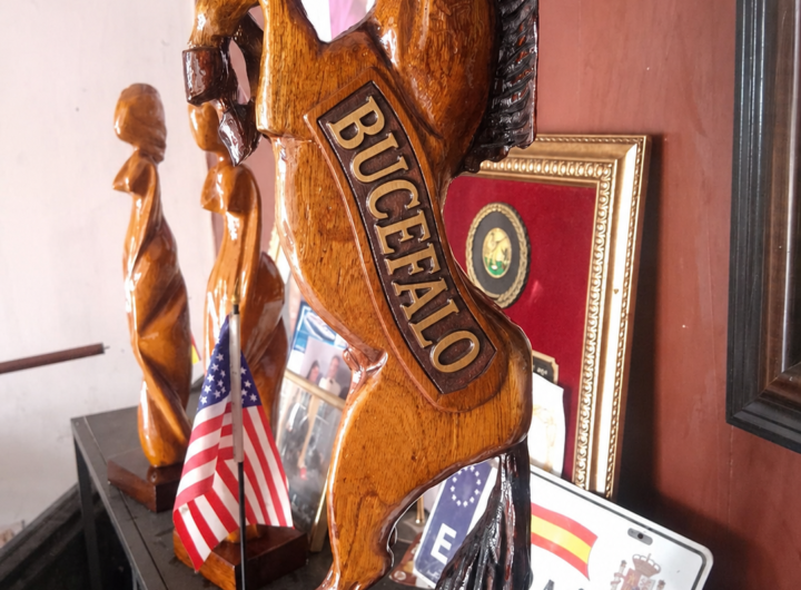 BUCÉFALO EL CABALLO DE PEDRO JULIO ABREU COLUMNA